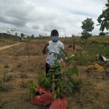 MARI LESTARIKAN GERAKAN PENGHIJAUAN MELALUI MENANAM POHON